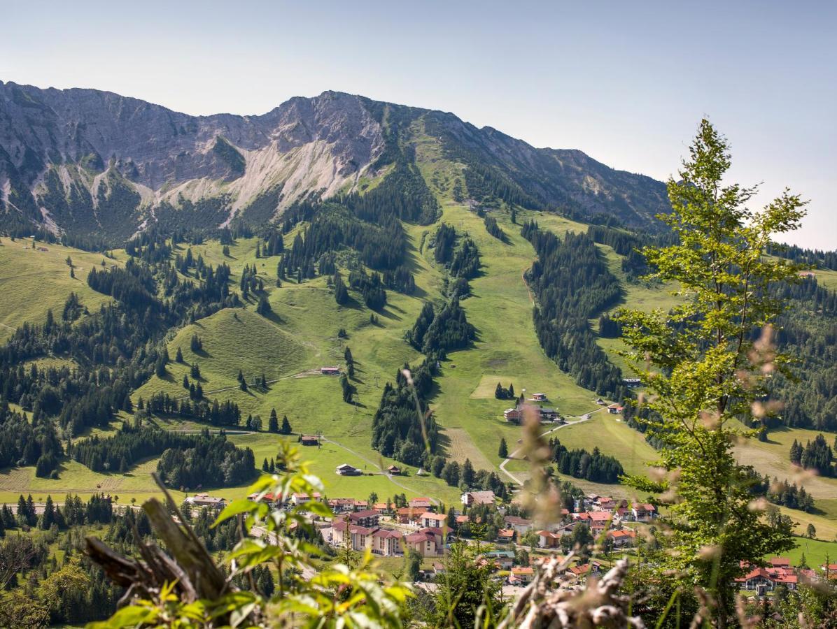 Alpin - Moderne Mit Zugang Zu 3000 Qm Panoramahotel Oberjoch Apartment